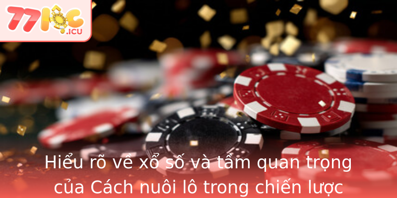 Hieu Ro Ve Xo So Va Tam Quan Trong Cua Strongcach Nuoi Lostrong Trong Chien Luoc Choi